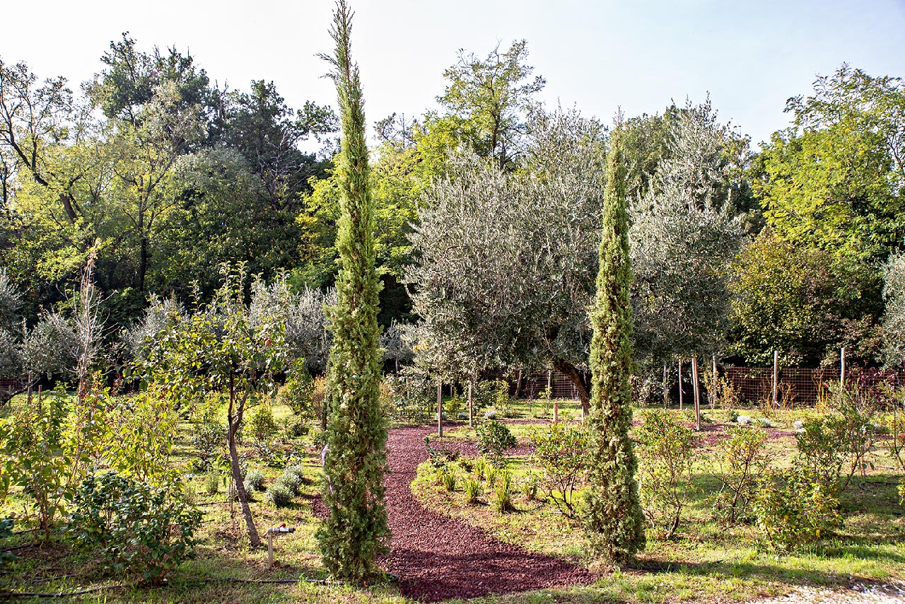 progetti-giardini-terapeutici-cura-Autismo-mati